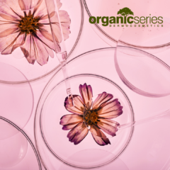 organic face serum at organic series uk Best Organic Face Serum UK