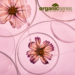 organic face serum at organic series uk Best Organic Face Serum UK