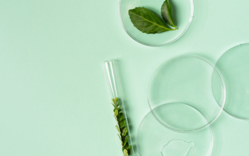anti redness skincare at organic series uk